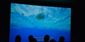 Preisgekrönte Kino-Doku "A Plastic Ocean" / Foto: Verleih